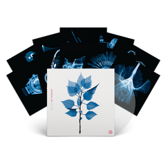 新品✨ The Quiett glow forever LP SAMPLE盤 The Quiett Glow Forever LP Blue Splatter | eBay
