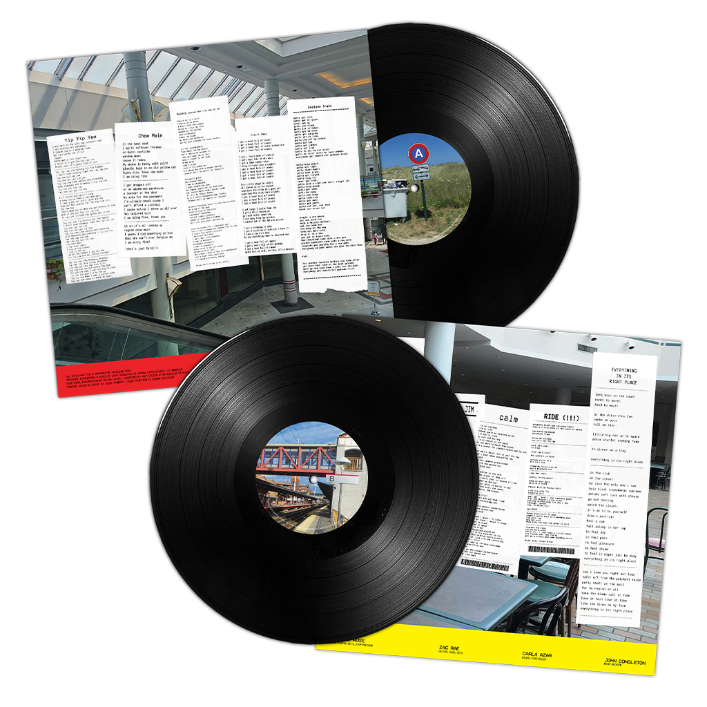 Gentling the Horse at the Walt Whitman Mall 12" Vinyl (Oil Spill Black)