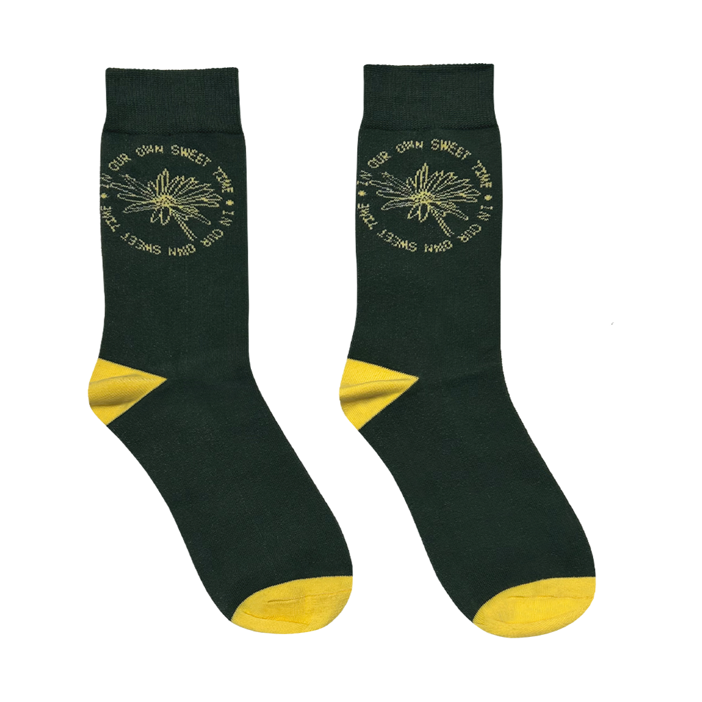 In Our Own Sweet Time Daisy Socks V2