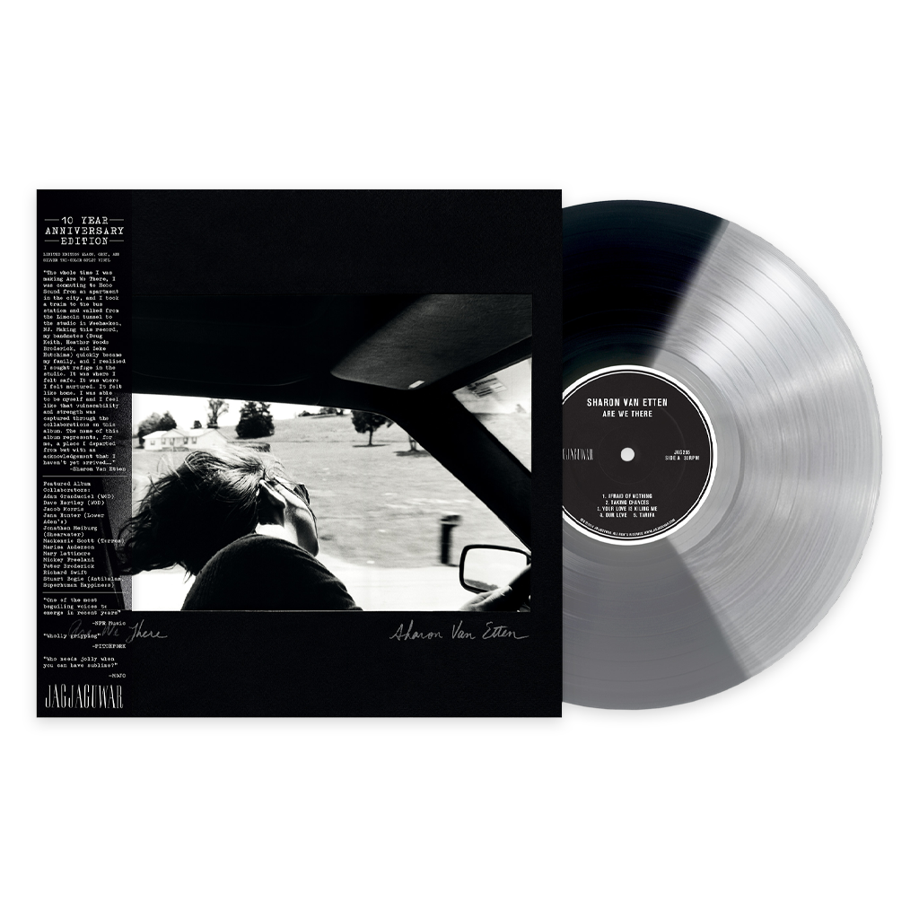 Are We There - 10 Year Anniversary Edition 12&quot; Vinyl (Black, Grey, and Silver Tri-Color)