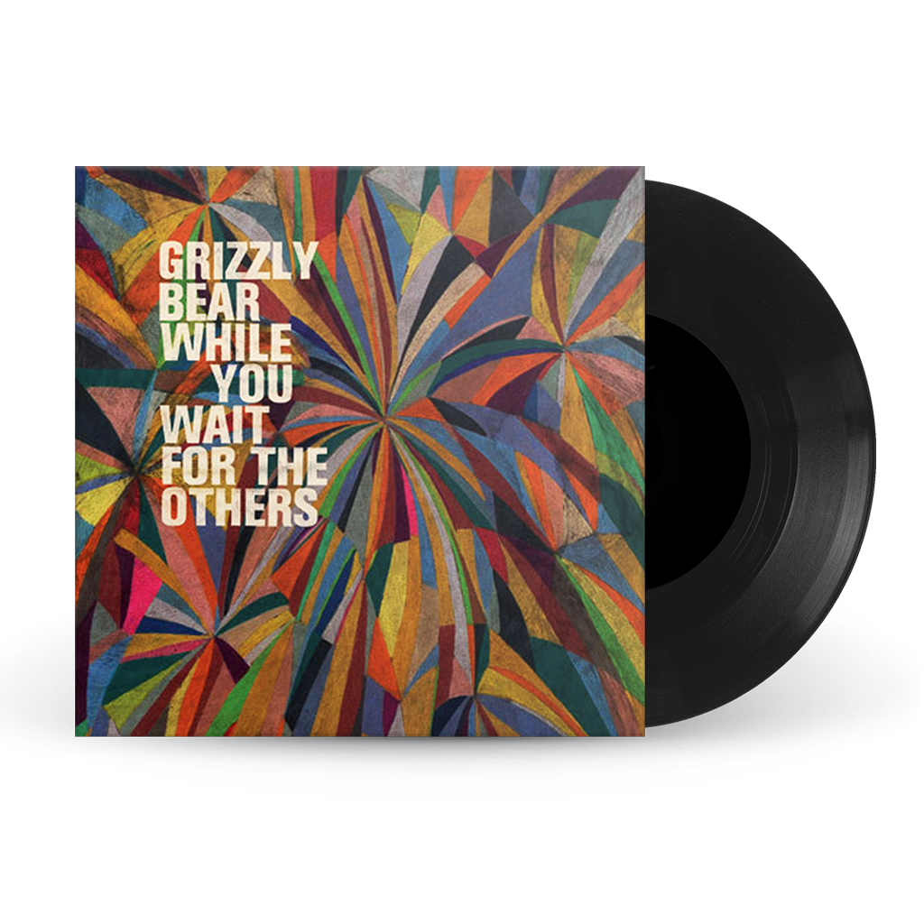 While You Wait For The Others 7" Vinyl (Black)