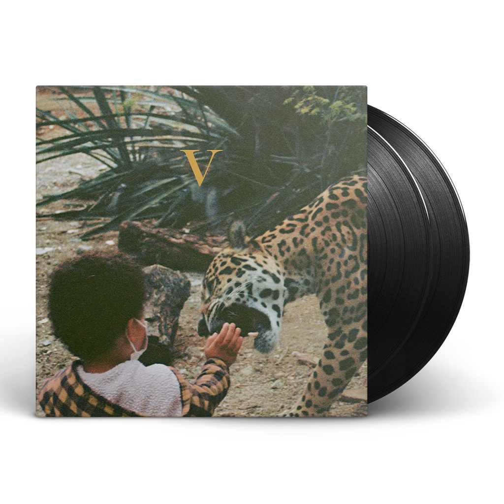V 2x12&quot; Vinyl (Black)