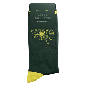 In Our Own Sweet Time Daisy Socks